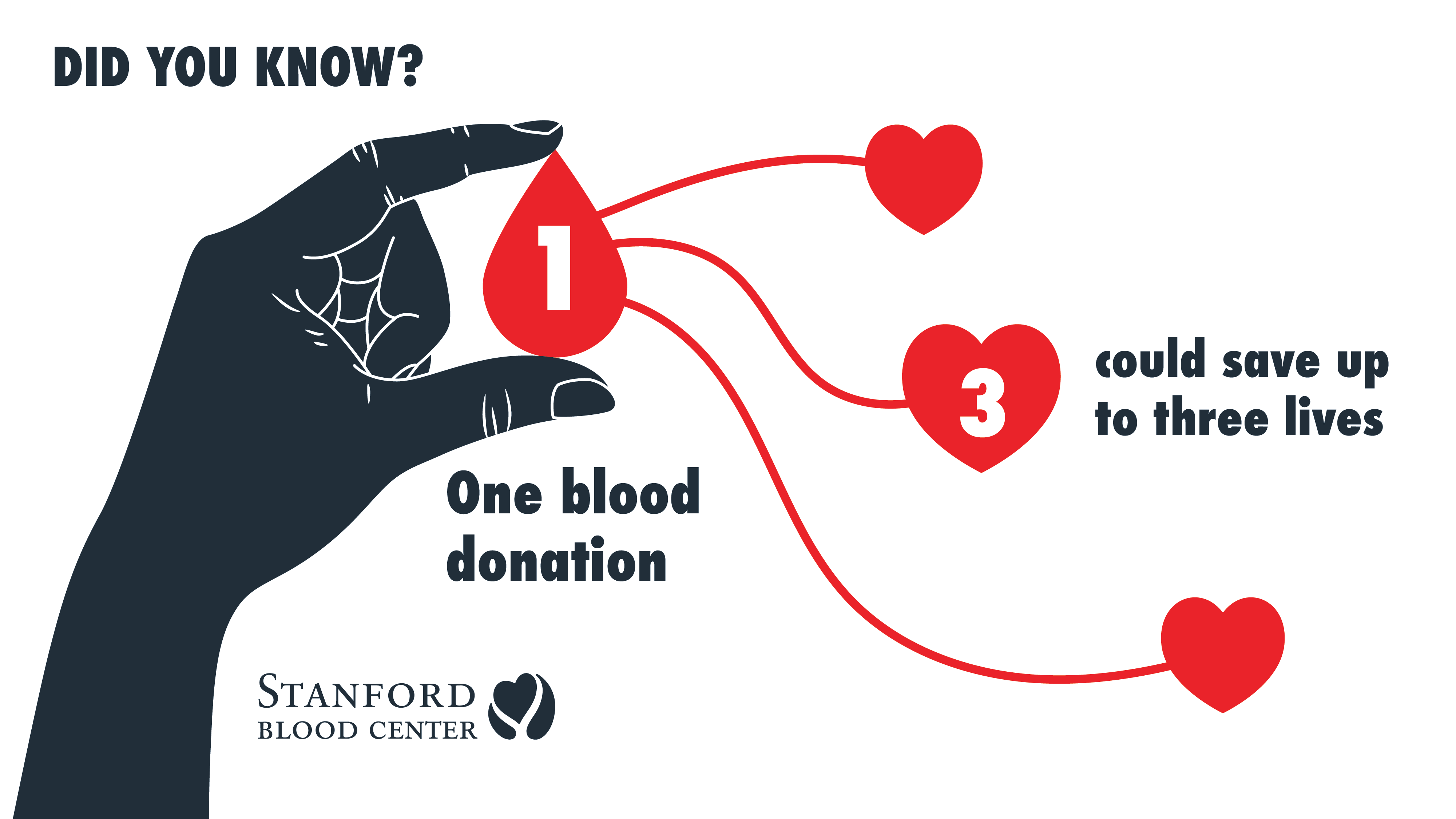 image\Blood-facts_10-illustration-graphics__canteen.png